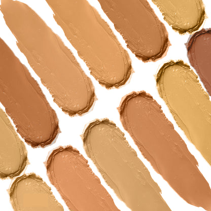 COVER &amp; CONCEAL 12-1 SUPRA PALETTE (METAL)